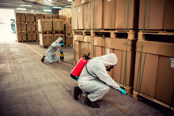Best Bed Bug Extermination  in Kincaid, IL