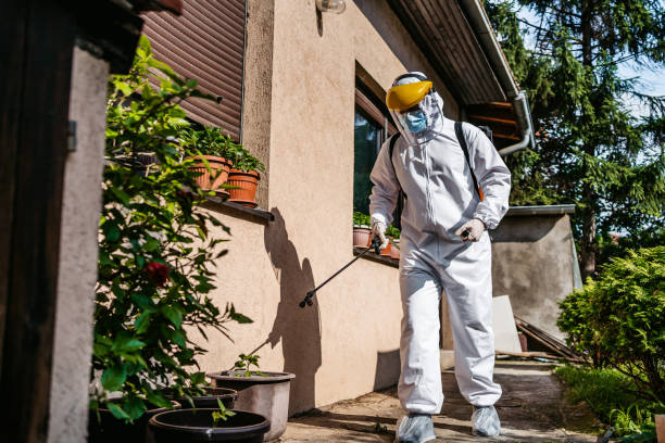 Best Residential Pest Control  in Kincaid, IL