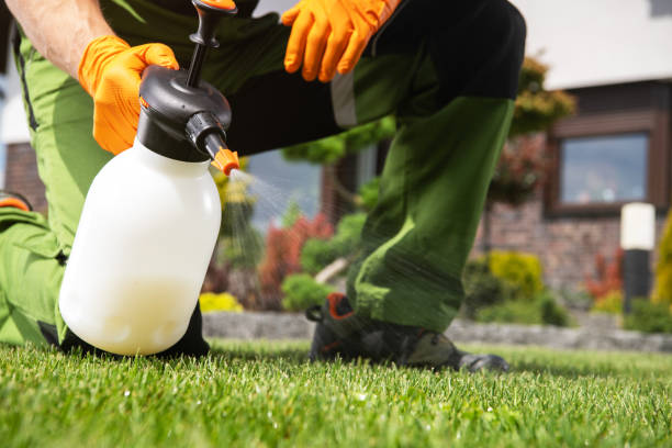 Best Bird Control  in Kincaid, IL