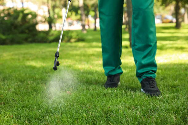 Best Affordable Pest Control Services  in Kincaid, IL