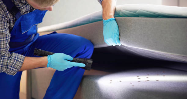Best Flea Control Services  in Kincaid, IL