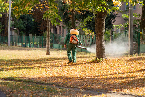 Best Emergency Pest Control  in Kincaid, IL