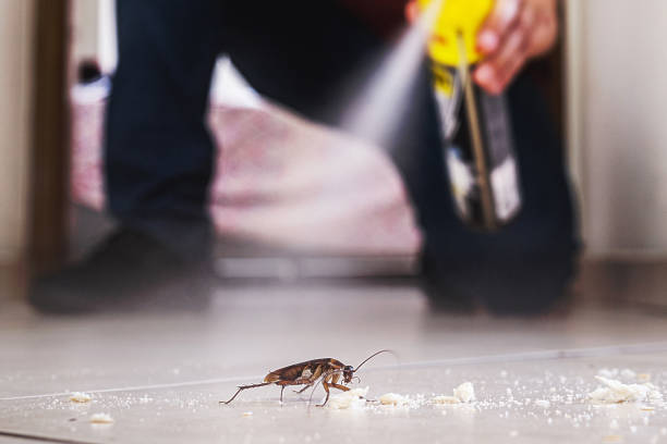 Best Cockroach Control Services  in Kincaid, IL
