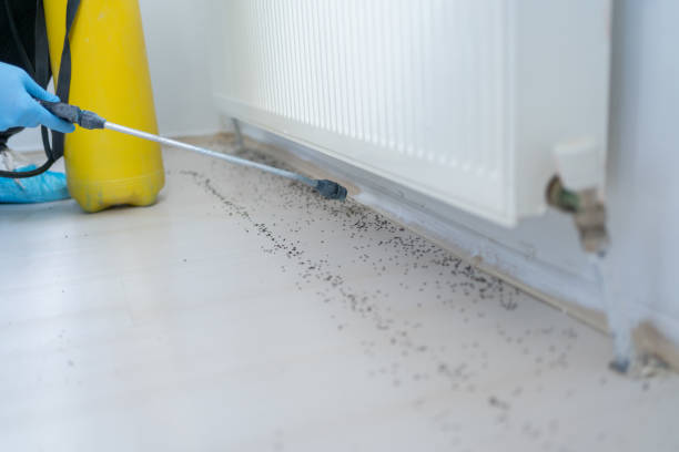 Best Pest Inspection Near Me  in Kincaid, IL