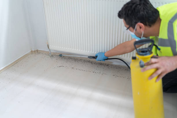 Best Commercial Pest Control Services  in Kincaid, IL