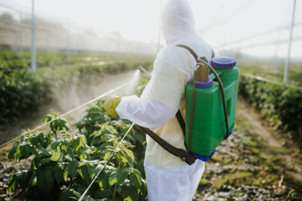 Best Best Pest Control Companies  in Kincaid, IL